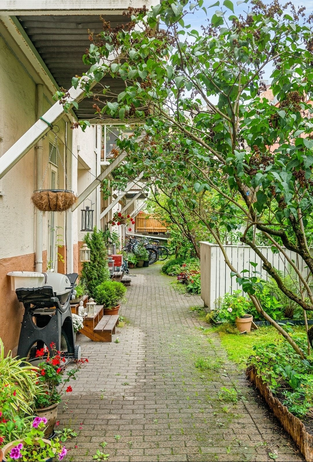 Flott og frodig bakgård med diverse trær, planter og benk. FOTO: StudioOslo Galleribilde