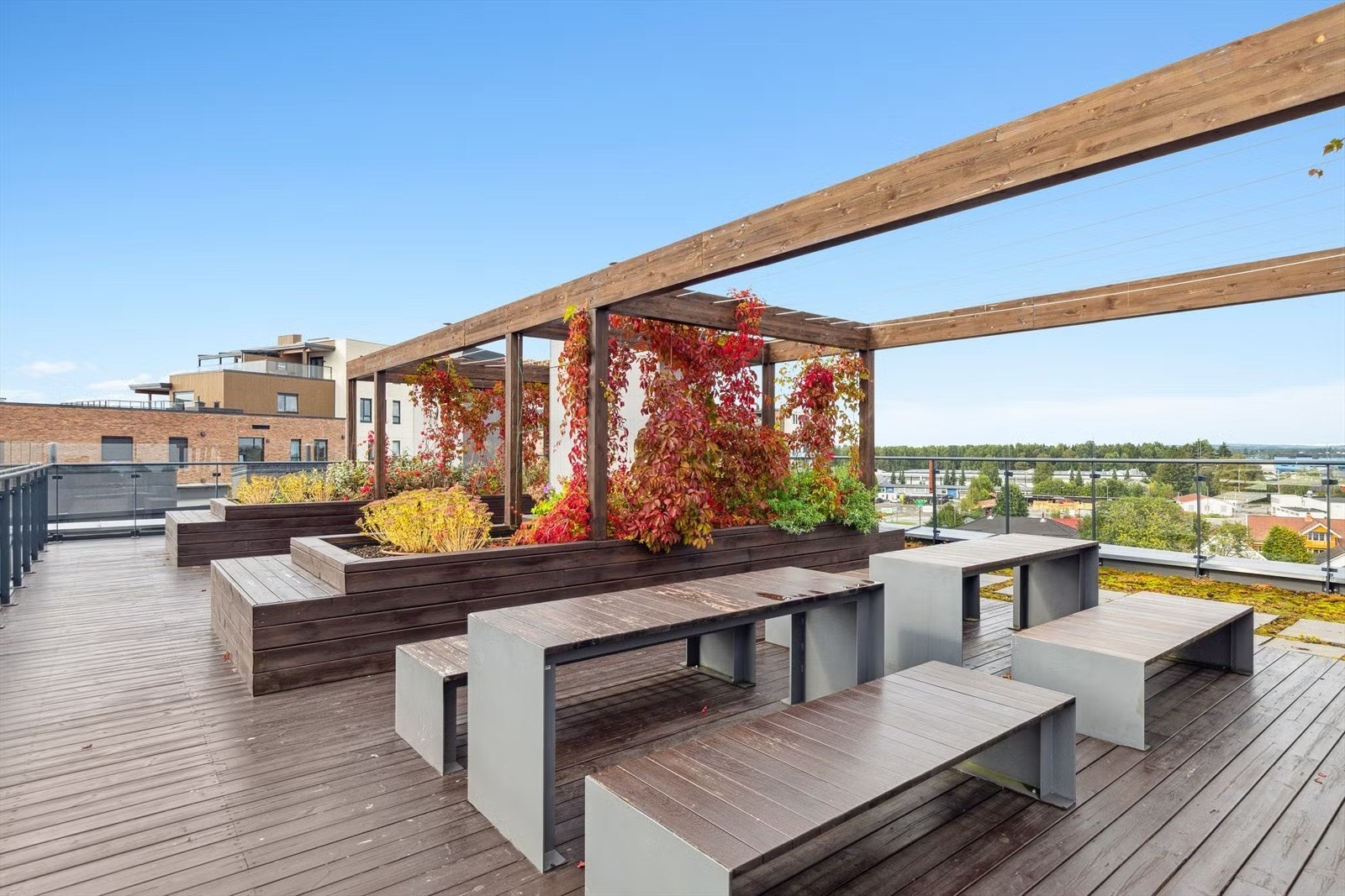 Felles takterrasse Galleribilde