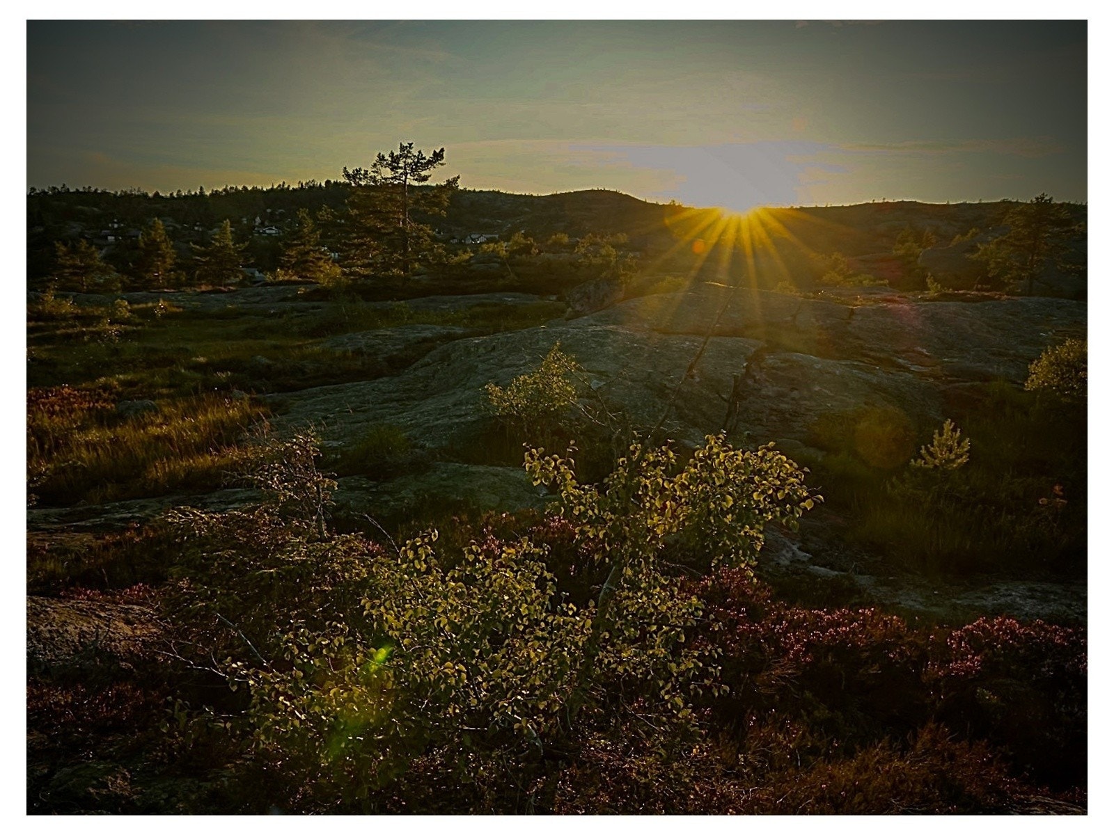 Nydelig kveldssol over åpent fjellandskap, stemningsfulle omgivelser i naturen rundt hytta. Galleribilde