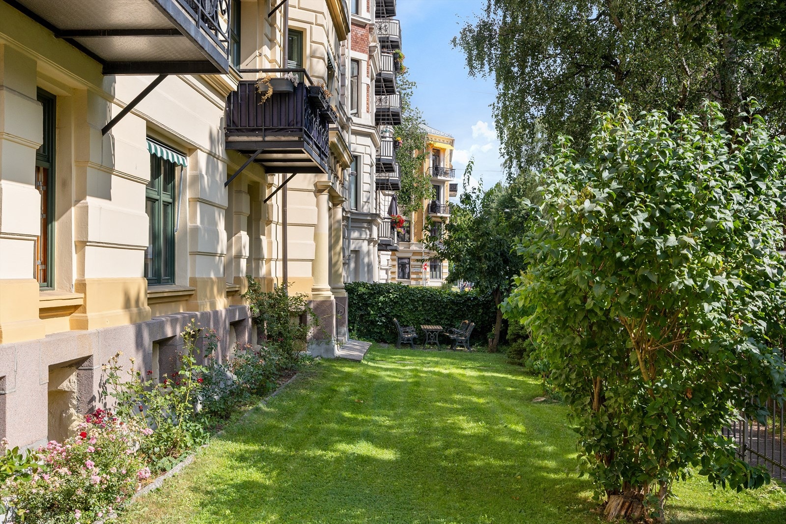 Felles forhage med gressplen og annen beplantning. Galleribilde