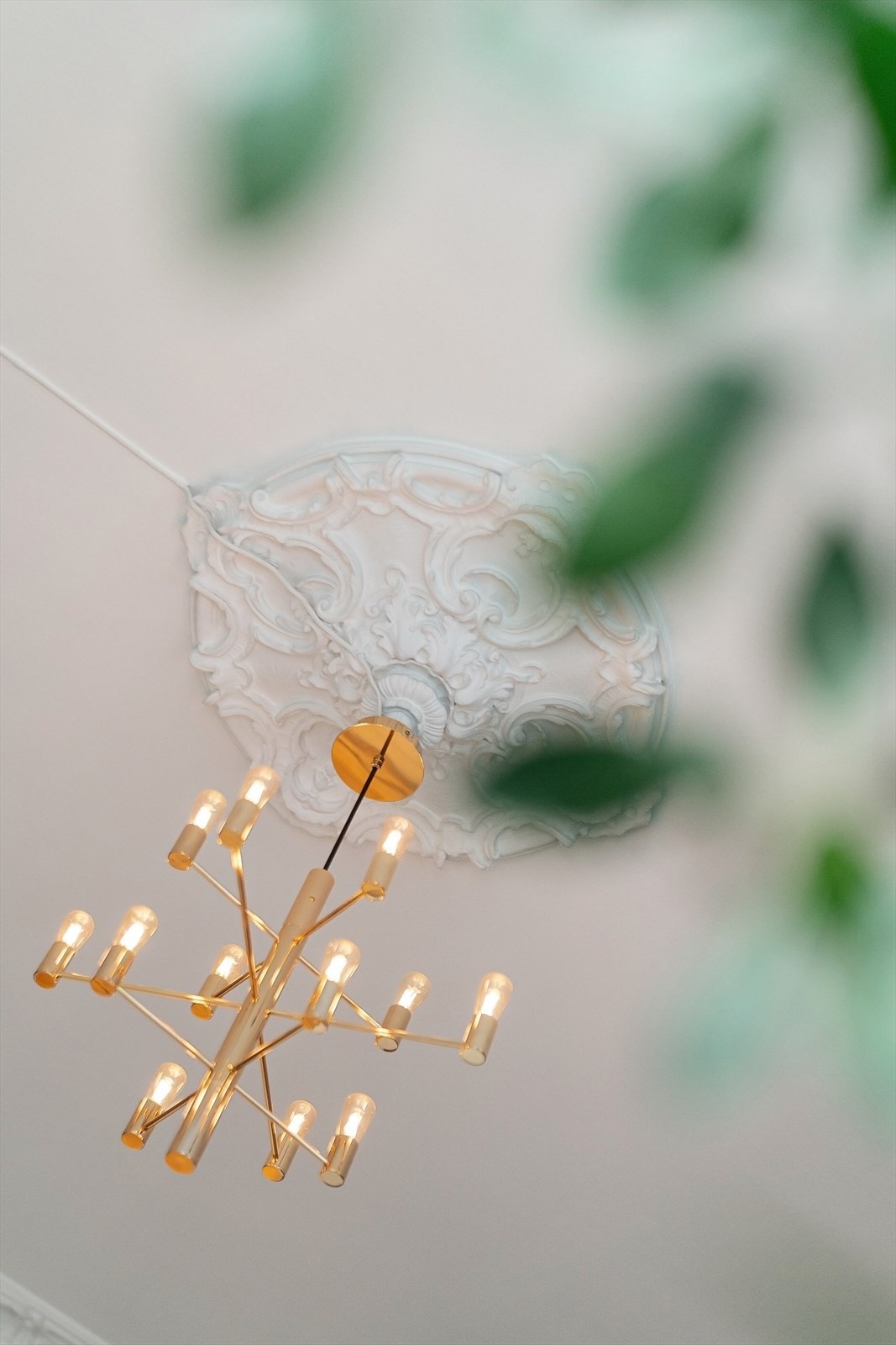 Klassiske detaljer som rosett og stukkatur i taket. Galleribilde