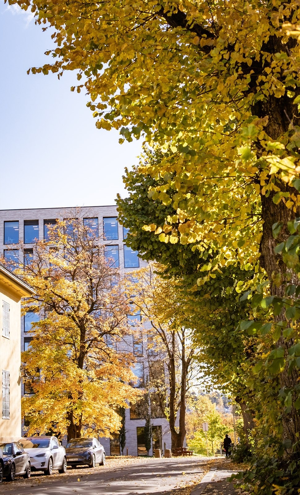 Det er beboerparkering langs gatene Galleribilde
