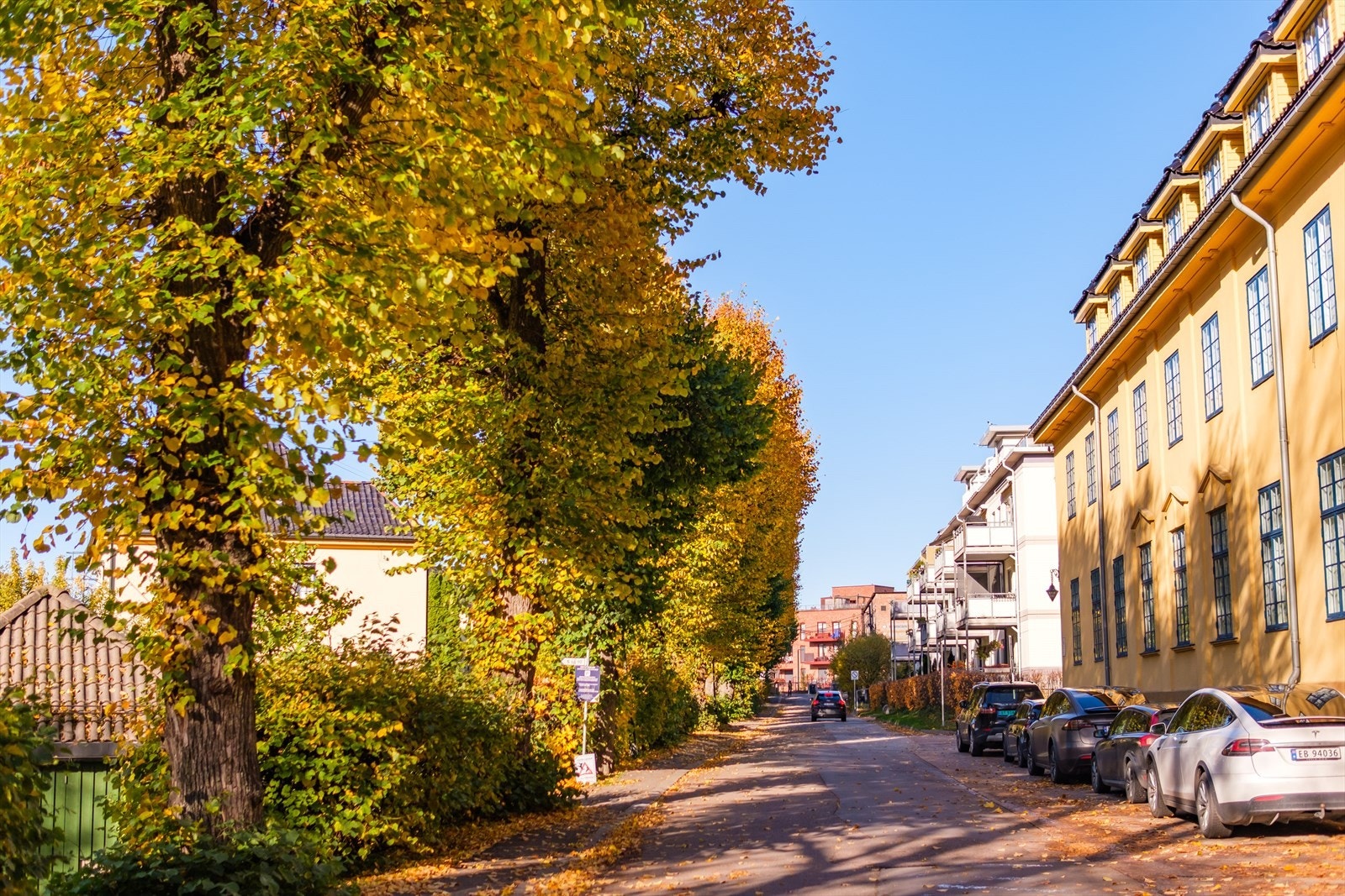Fyrstikkalléen har vakre naturskjønne omgivelser og rolige gater Galleribilde