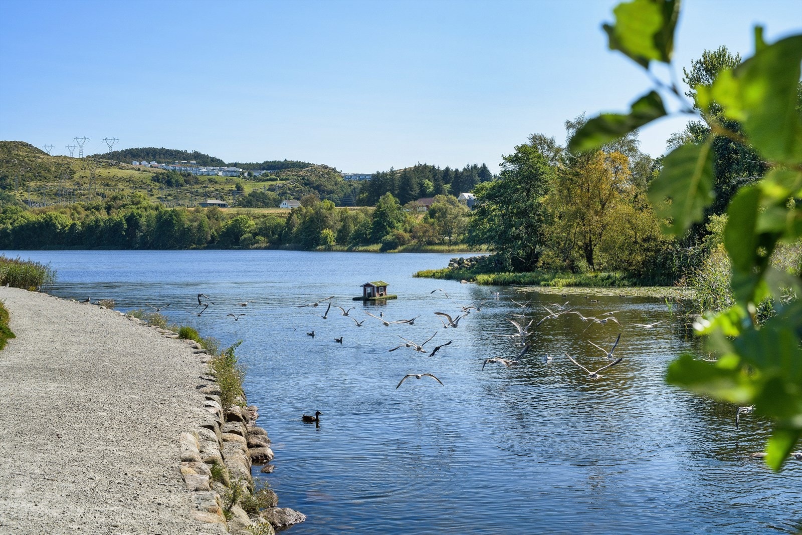 For den turglade byr nærområdet på flotte rekreasjonsmuligheter som Stokkelandsvatnet. Galleribilde