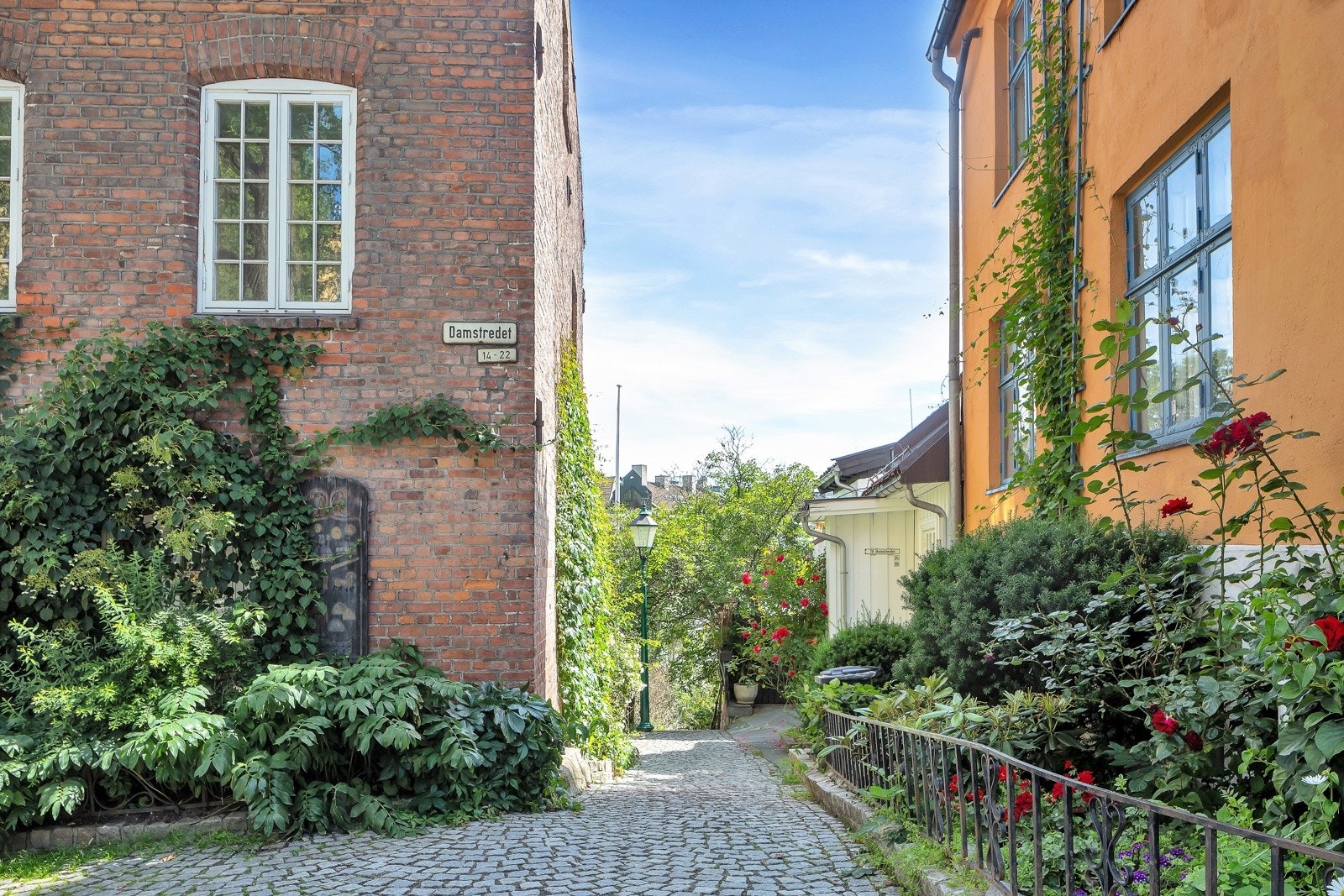 Hyggelige omgivelse i Damstredet om sommeren Galleribilde