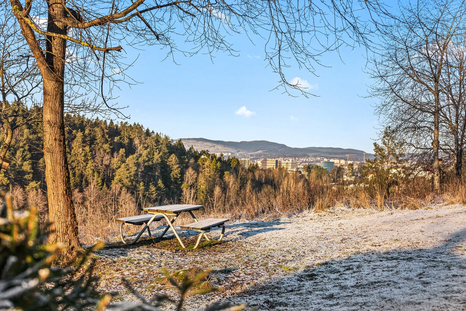 Borettslaget tomt byr på fine utsiktspunkter for avslapning. Galleribilde
