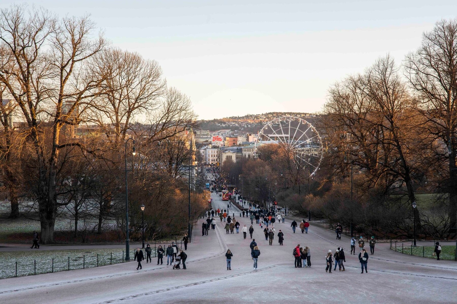 Nærområde. Galleribilde