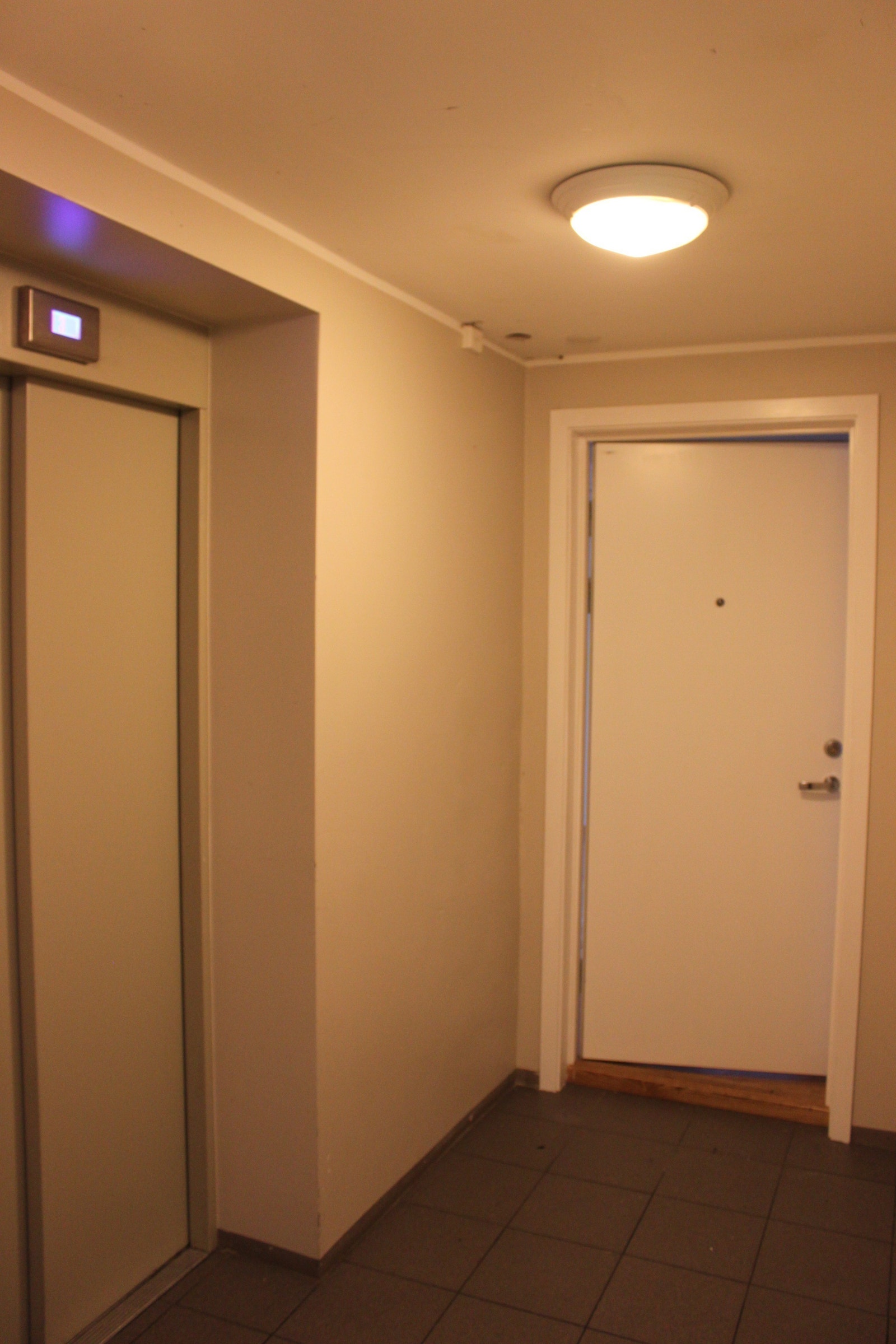 Inngangs parti. Galleribilde