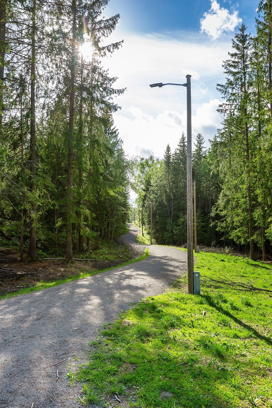 Lysløype Galleribilde