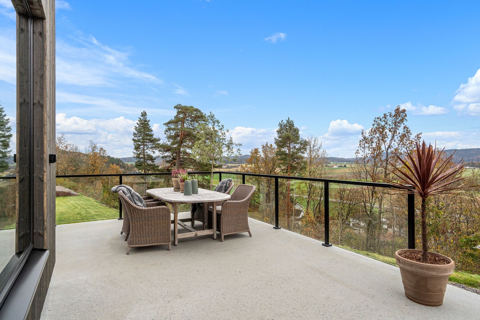 Terrassehygge fullspekket av natur med fuglekvitter og ekornskue Galleribilde