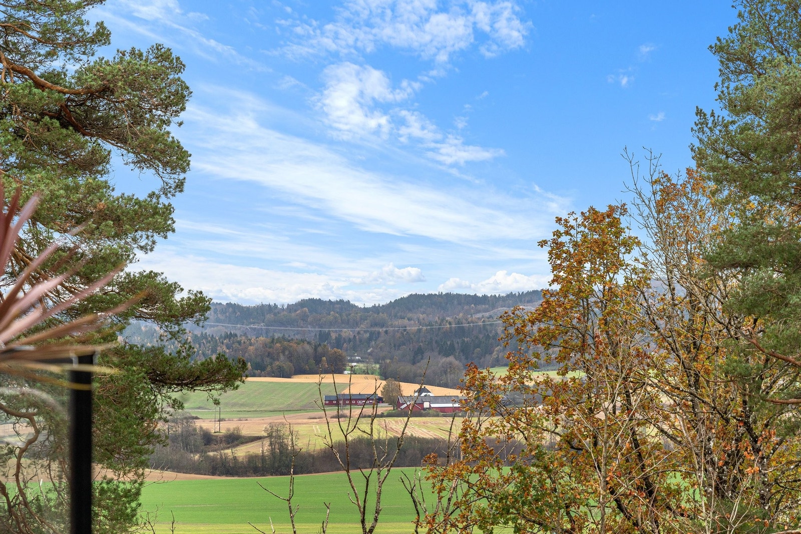 Panoramautsikt over Ramnes Galleribilde