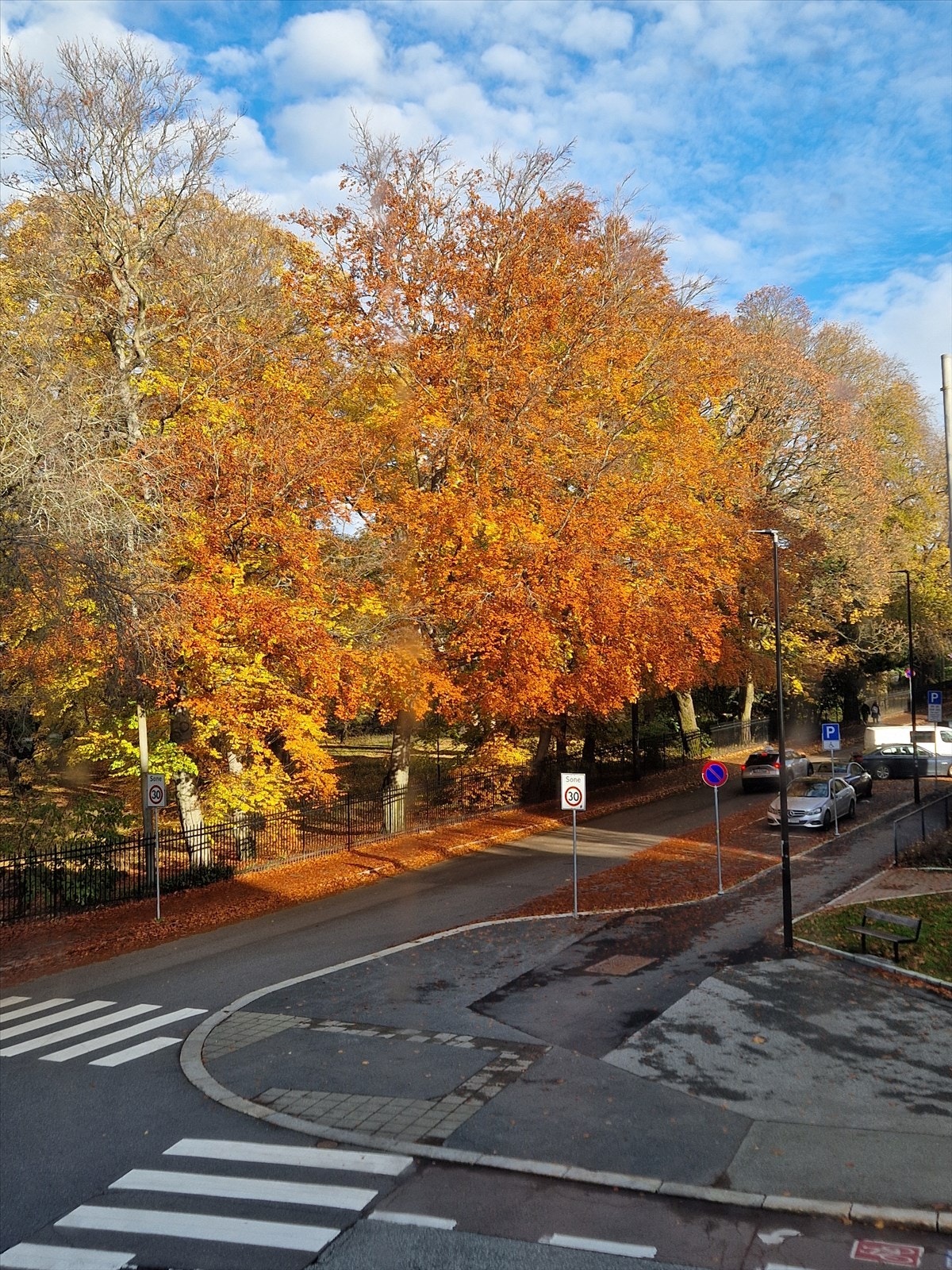 Nærområdet - nydelig høststemning (selgers bilde). Galleribilde