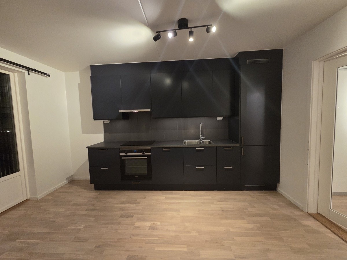 Elegant kjøkken med integrerte hvitevarer Galleribilde