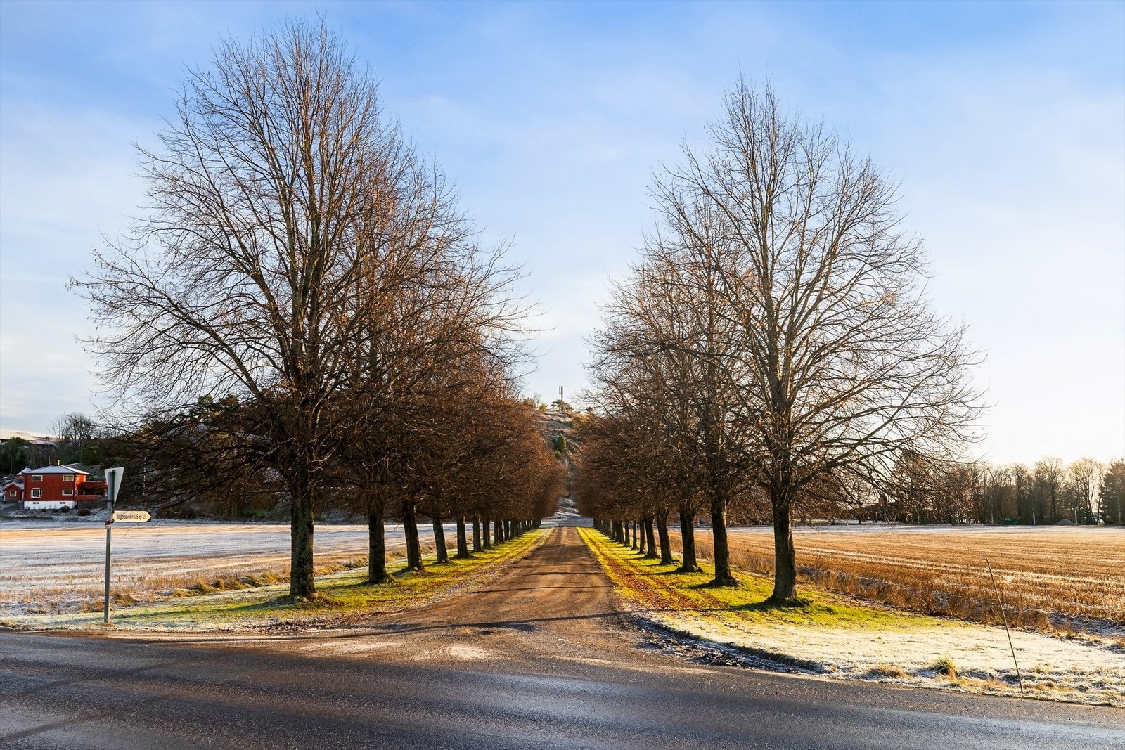 Vakker og praktfull allè som ønsker deg varmt velkommen til eiendommen ! Galleribilde