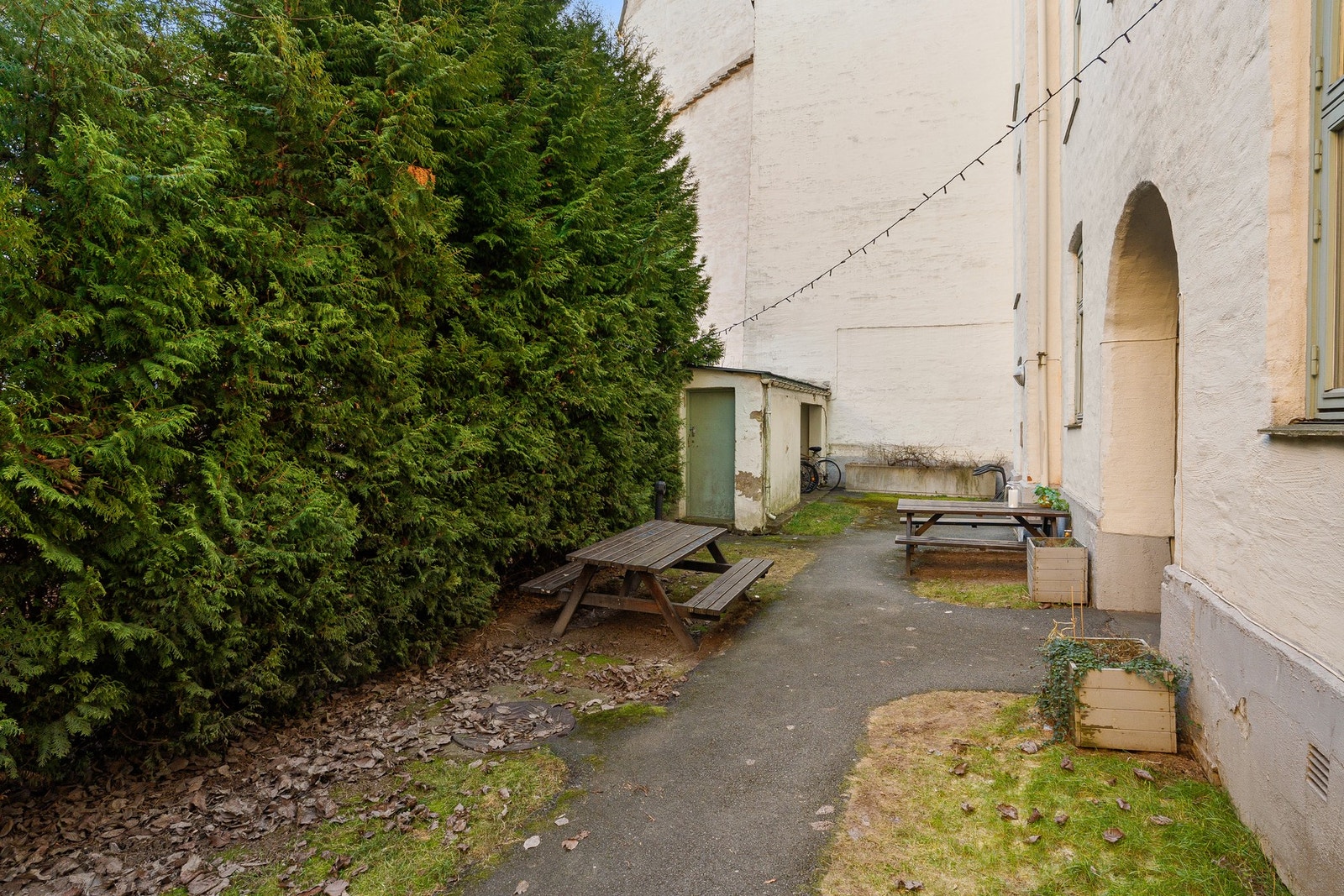 Selgers ord: "Jeg har trivdes utrolig godt i Møllergata 38. Det er midt i byen, men likevel stille og rolig og ingen bilstøy." Galleribilde