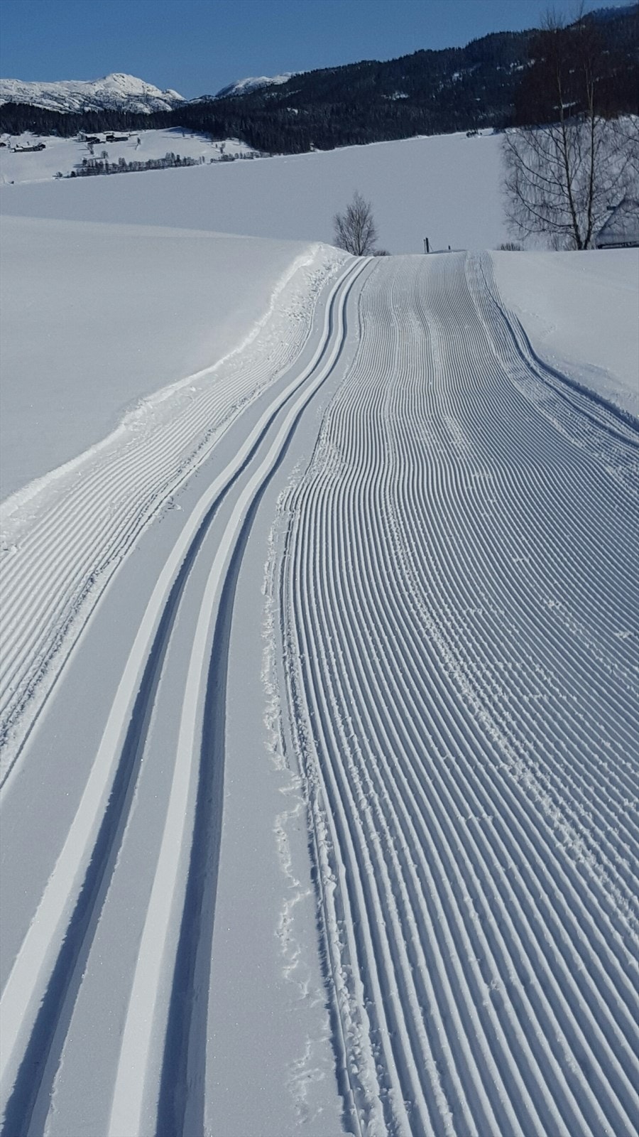 Flotte skiløyper i området. Galleribilde