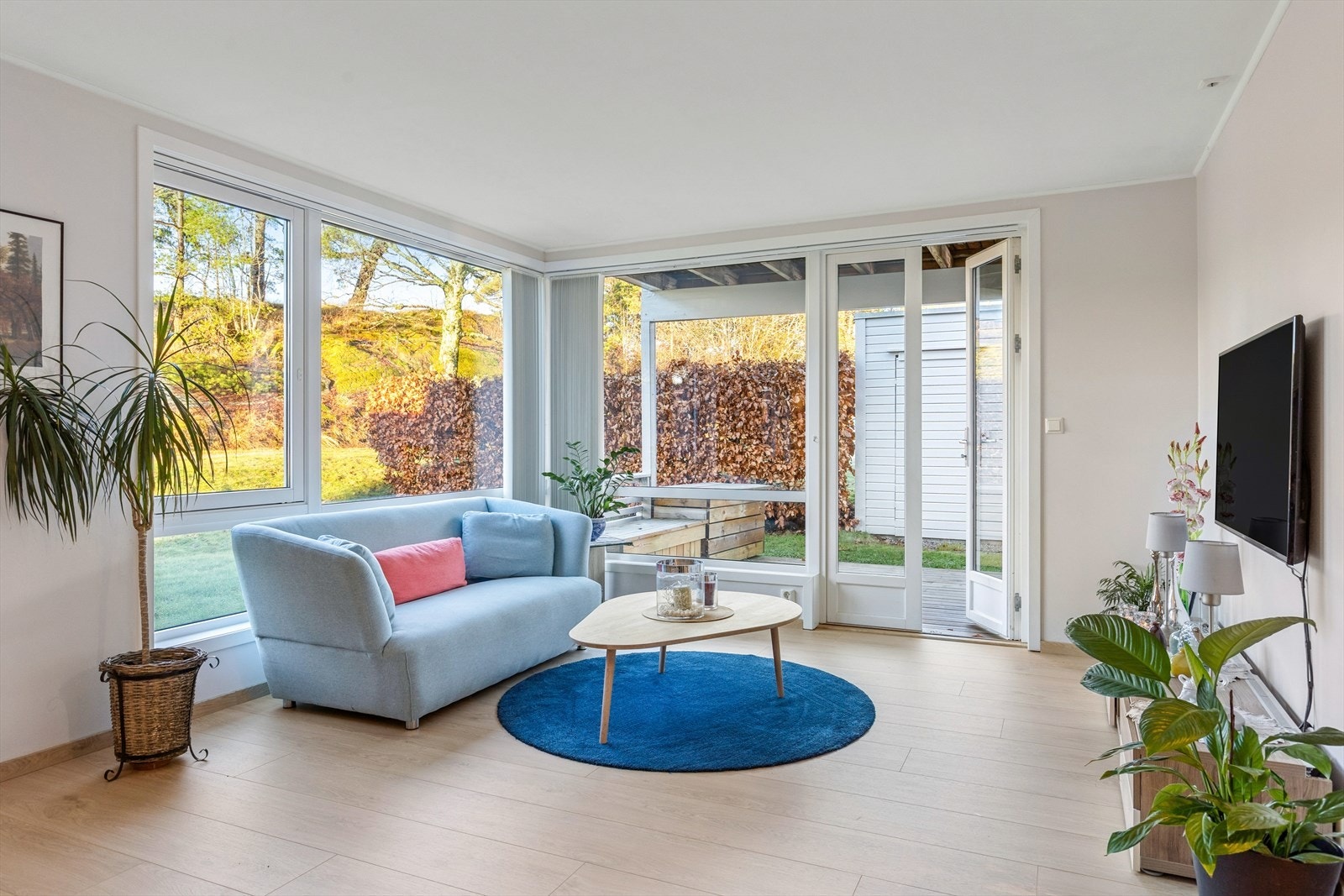 Mye naturlig sollys inn i stuen. Galleribilde