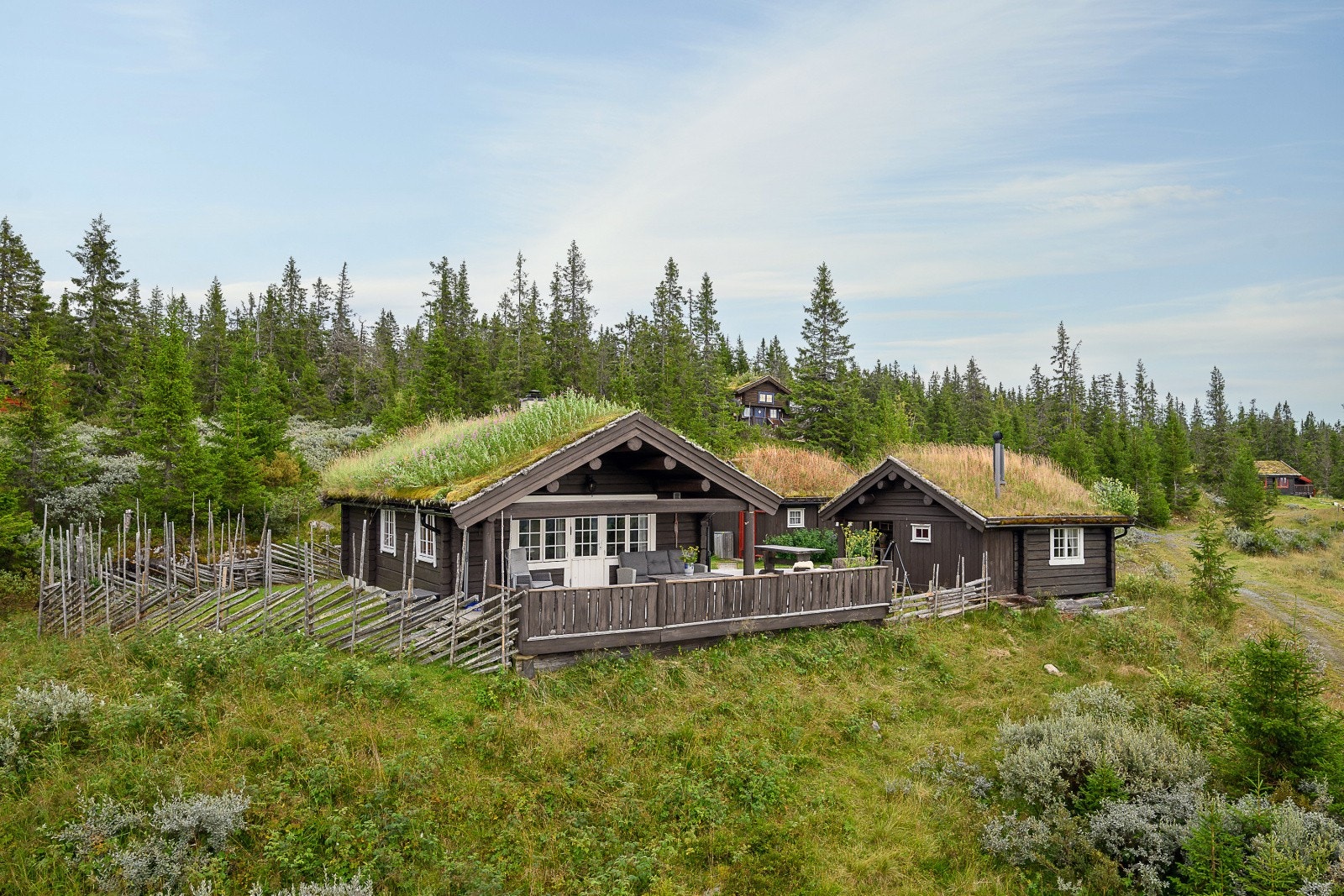 Hytten i sommerdrakt! Galleribilde