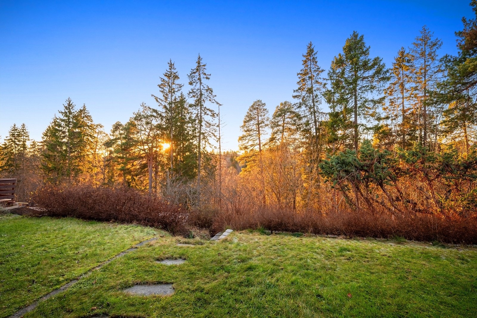 Nydelig og skjermet uteområde Galleribilde