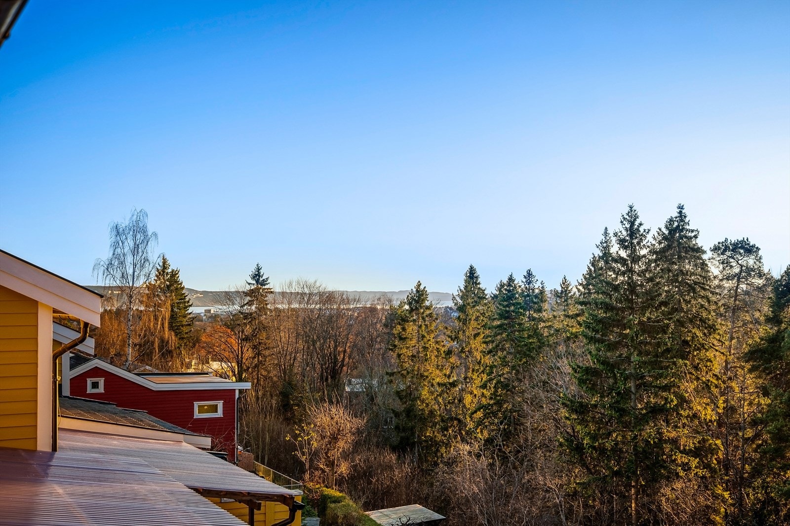 Sjøgløtt Galleribilde