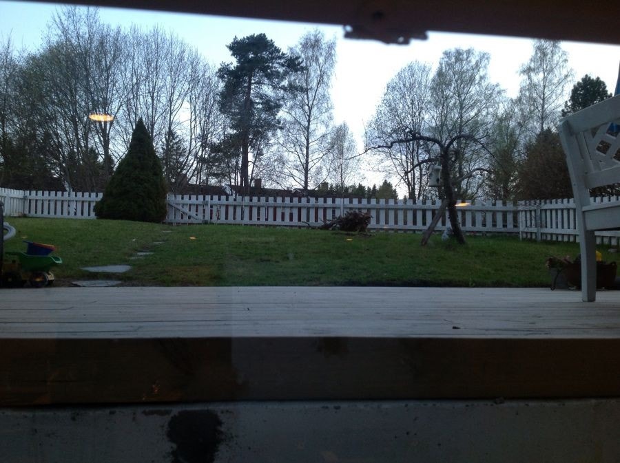 Utsikt til hage fra stuevinduet Galleribilde