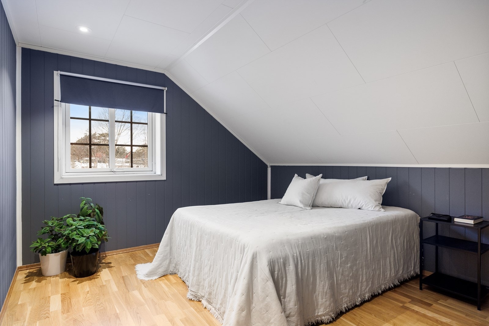 Soverom nr. 4. Galleribilde