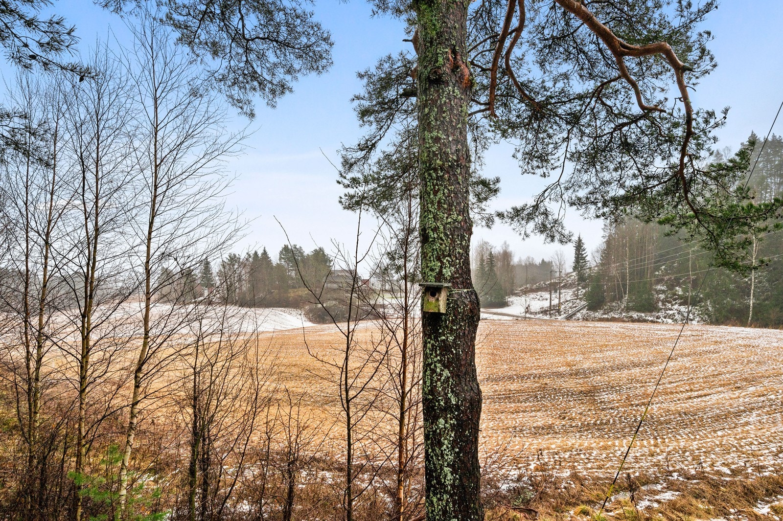 Fredelige omgivelser. Galleribilde