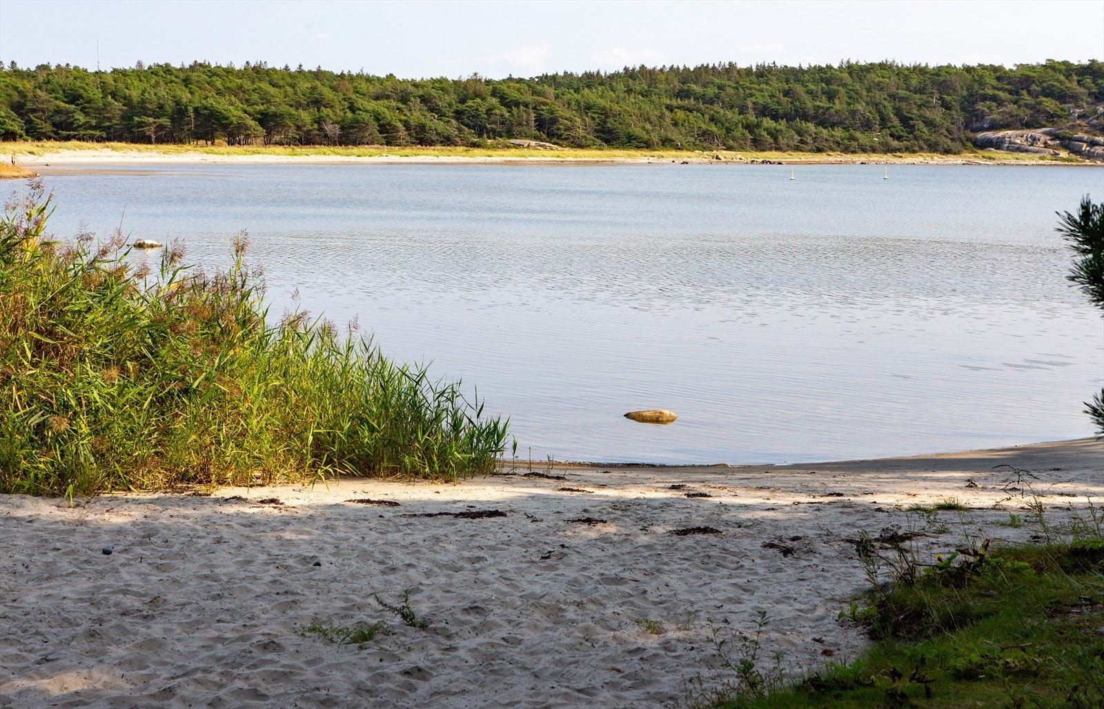Ørekroken er et paradis for kitere og vindsurfere. Galleribilde