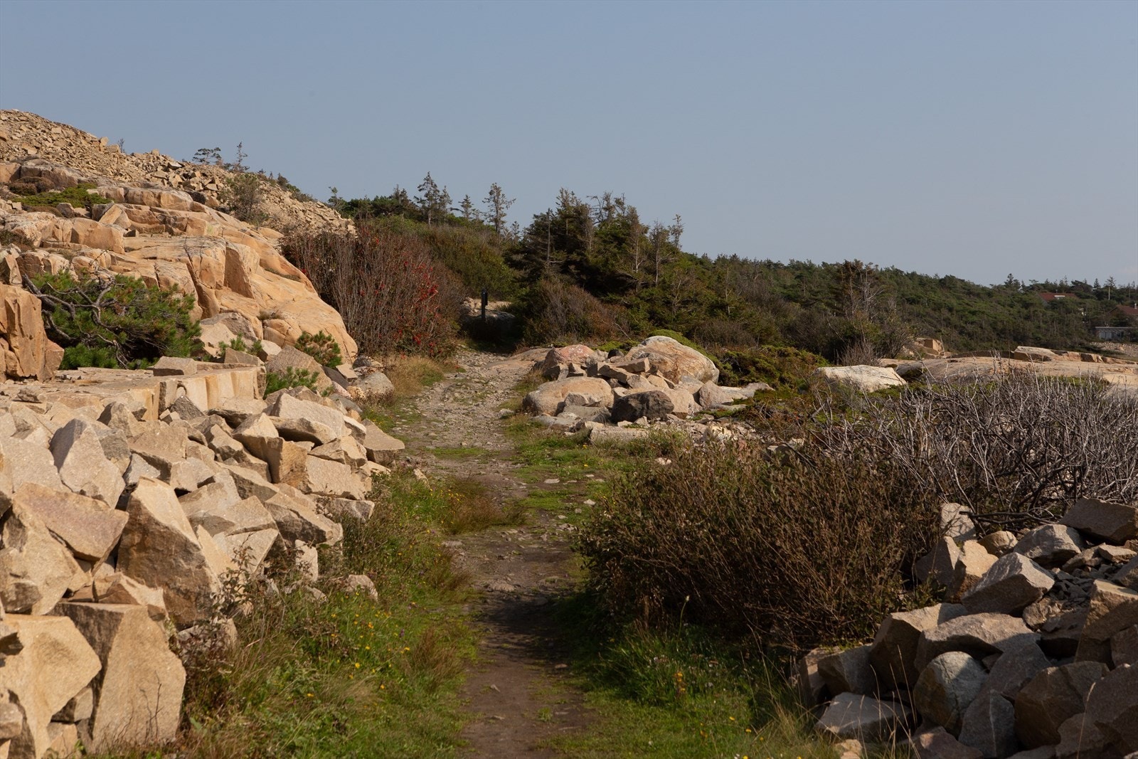 Rødshue stenkunst ligger i havgapet og byr på historie. Galleribilde