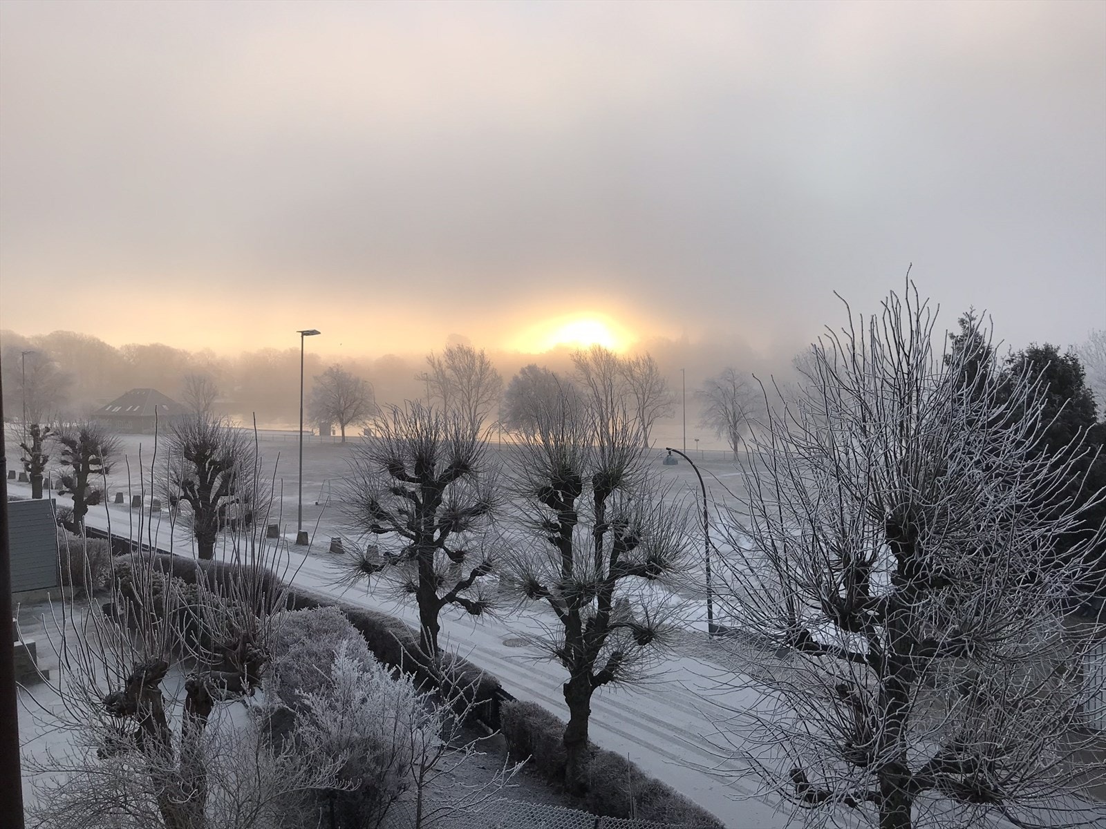 Selgers private bilde. Galleribilde