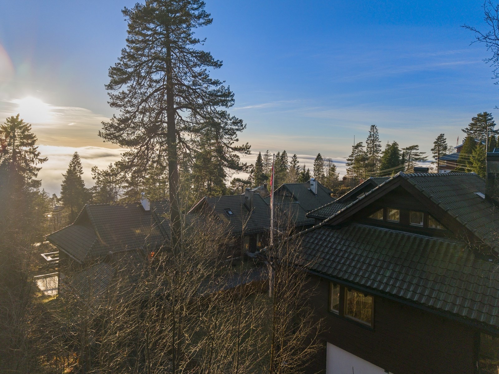 Drone 10.JPG Galleribilde