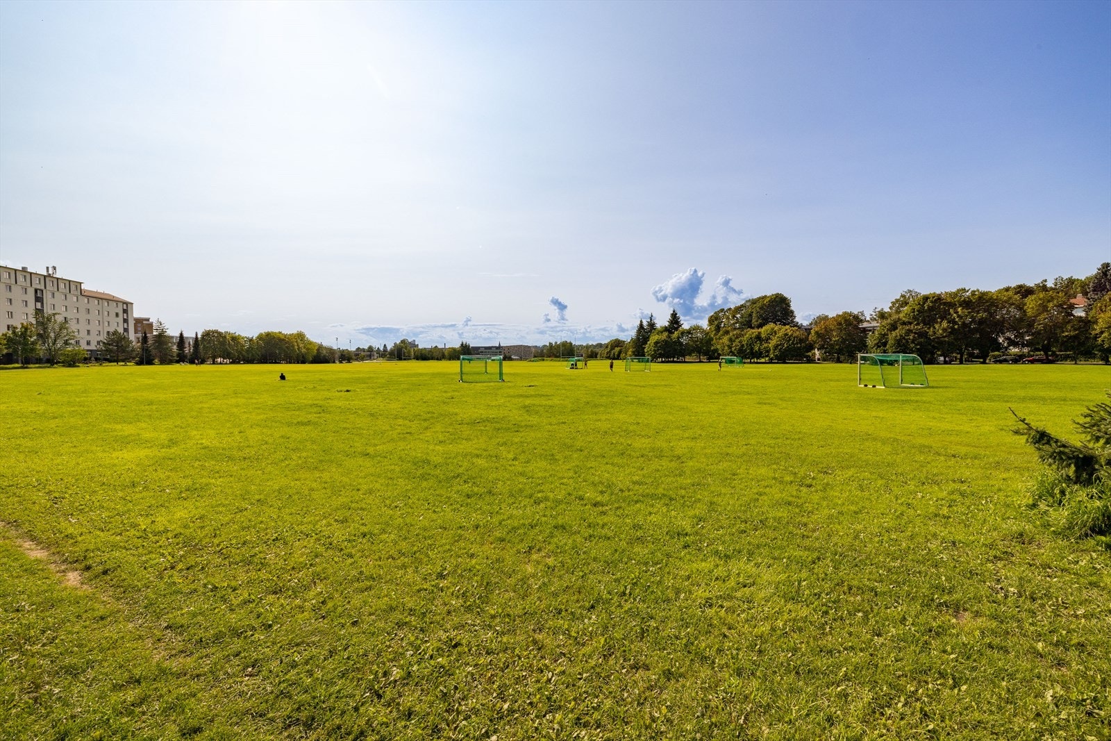 Voldsløkka på sommeren. Galleribilde