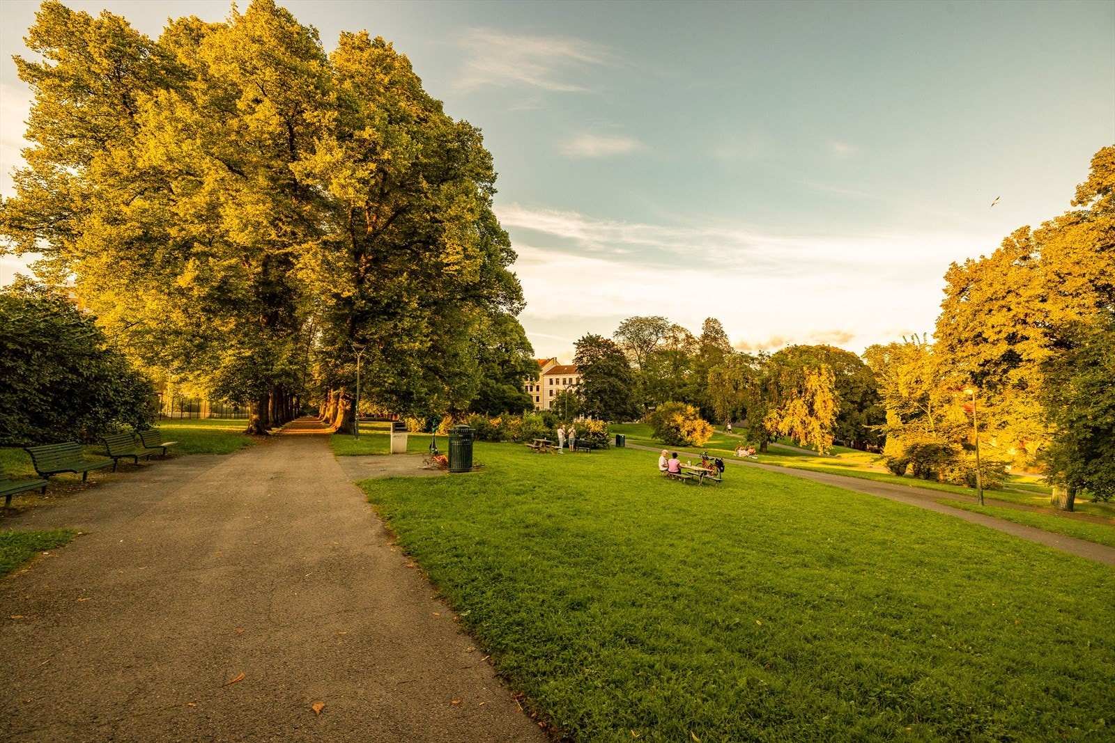 Vakre Bjølsenparken byr på gode turmuligheter og sittegrupper. Galleribilde