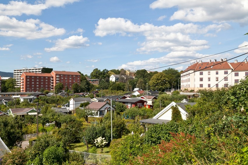 Rodeløkka kolonihave på sommerstid. Galleribilde