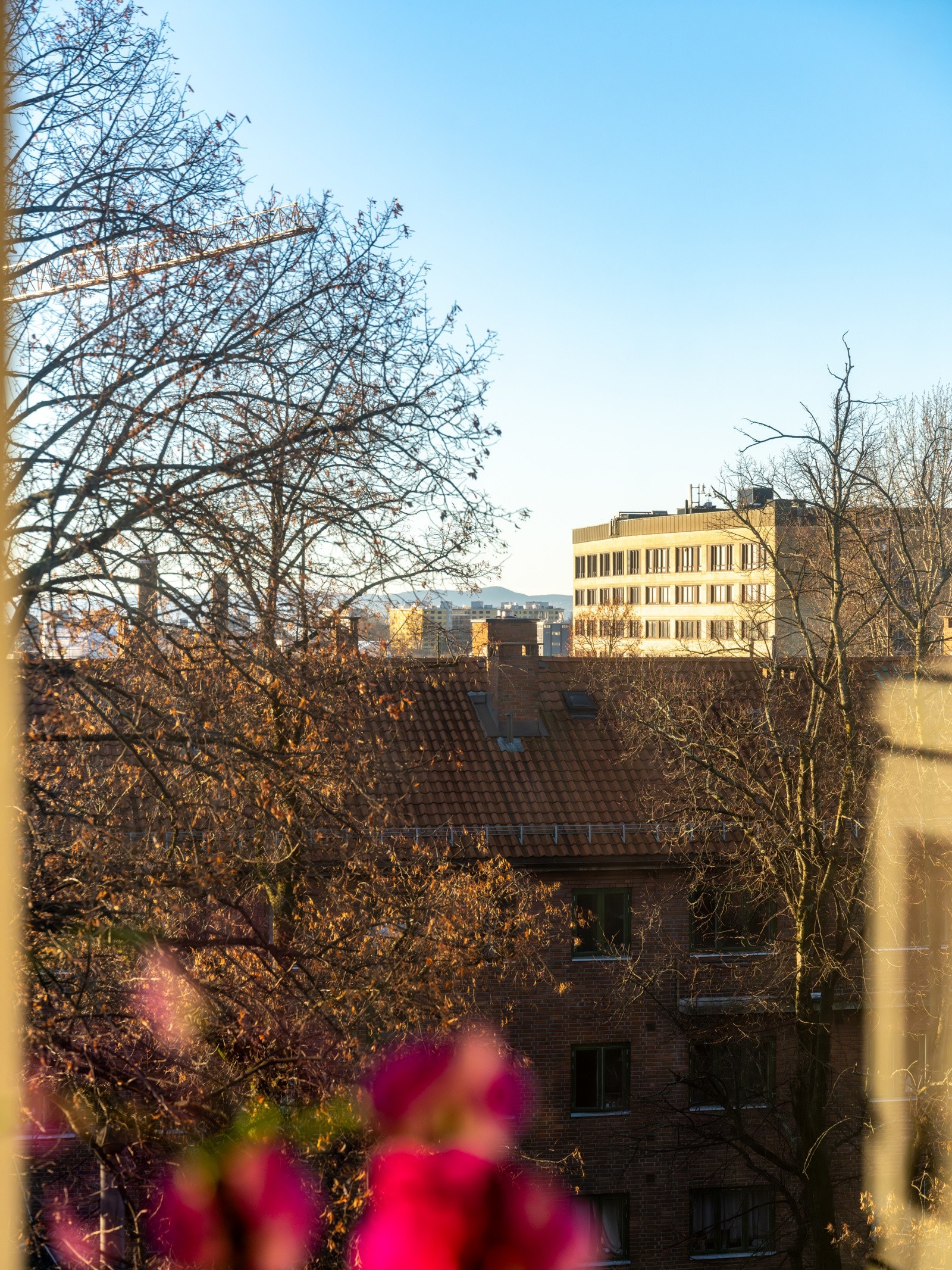 Fint utsyn fra vinduet. Stuen vender sydvendt så det er gode solforhold i løpet av dagen. Galleribilde