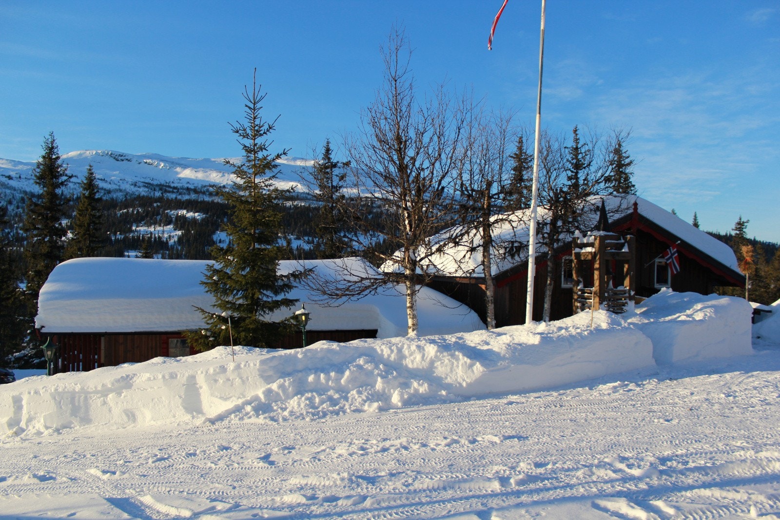 IMG_4864 Galleribilde