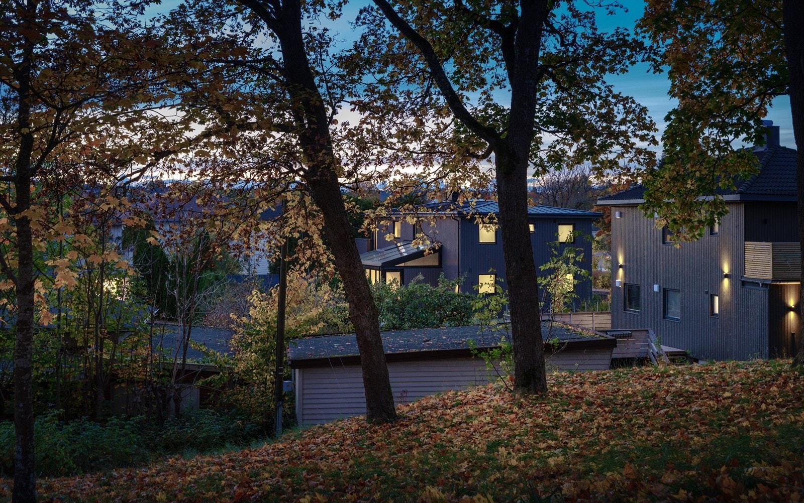 Parken er nærmeste nabo, så her kan man ta familiens minste ut på eventyr i nærområdet. Galleribilde