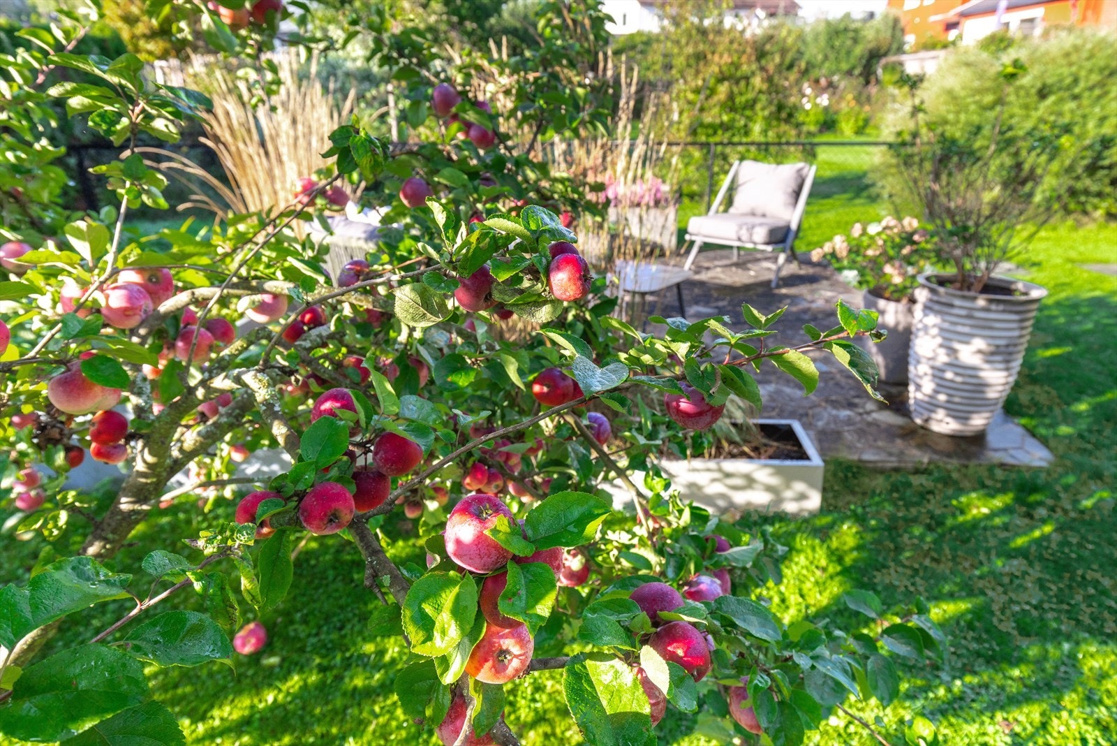 Flat og solrik hageidyll. Galleribilde