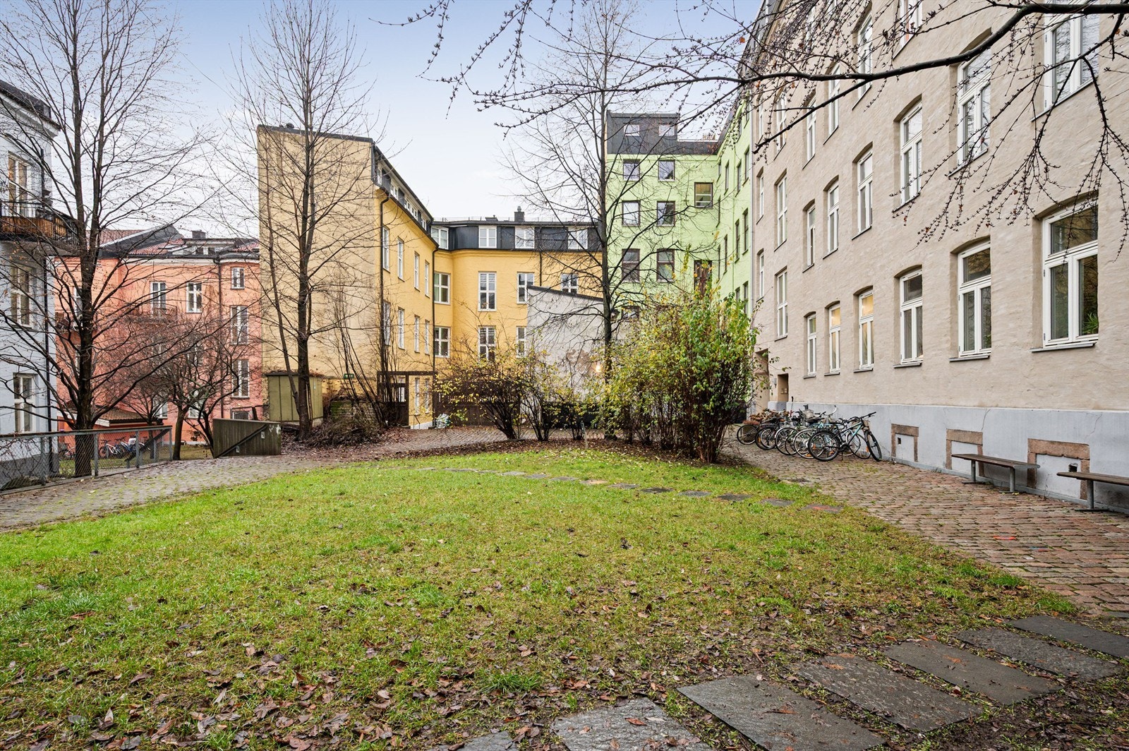 Hyggelig bakgård med frodig beplantning. Galleribilde