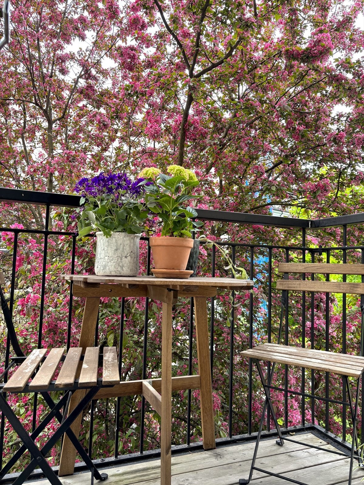 Selgers bilde. Galleribilde