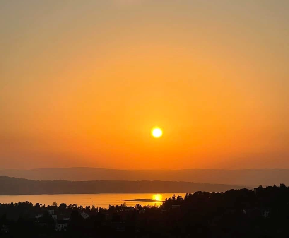 Bilde tatt av selger - solnedgang Galleribilde