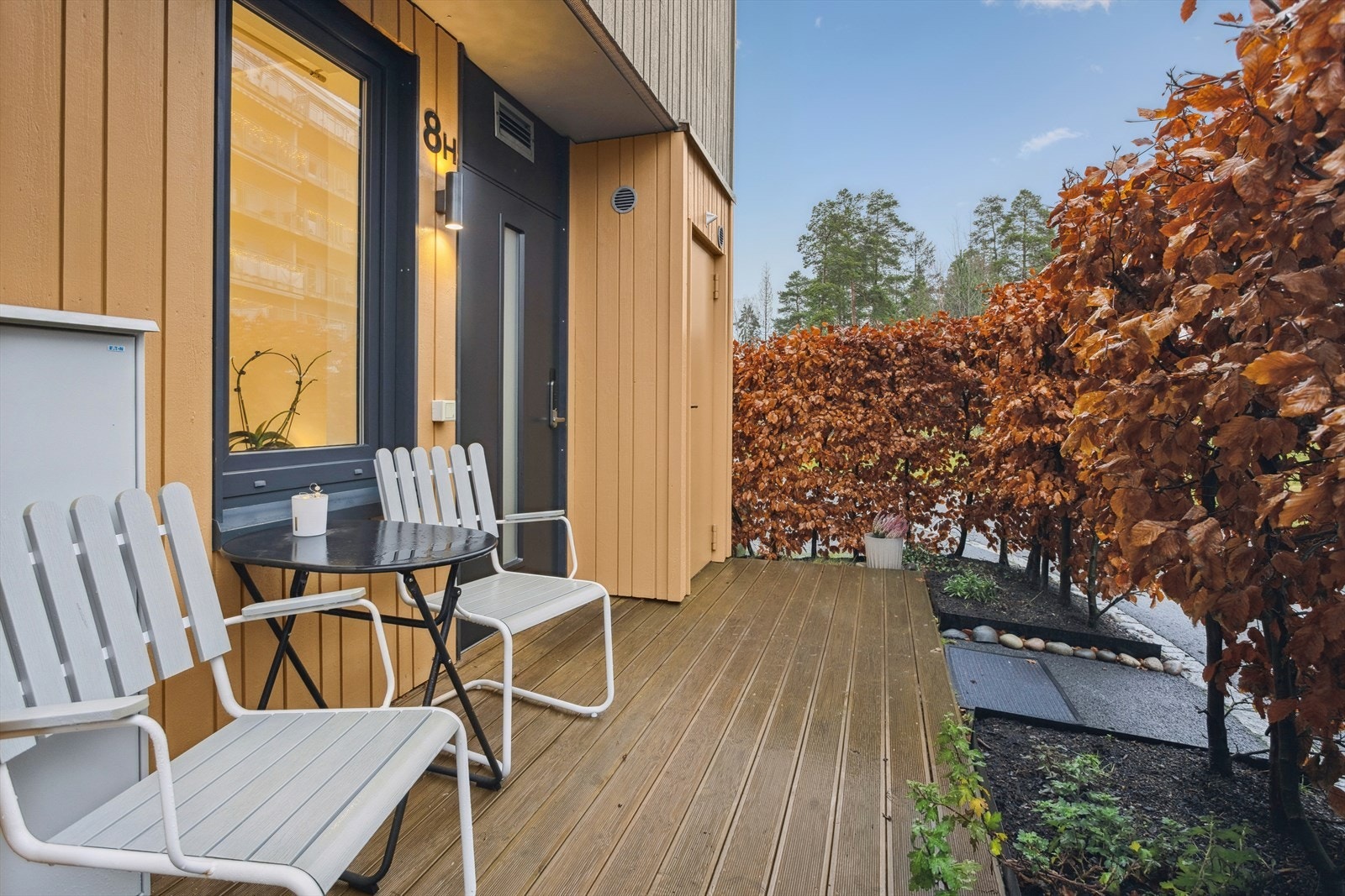 Usjenert uteplass med morgensol. Galleribilde