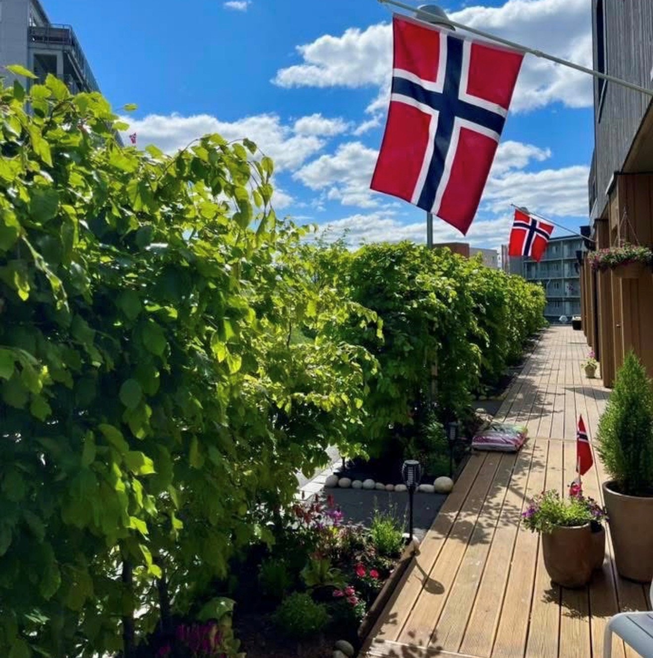 Bilde tatt av selger - 17 mai Galleribilde