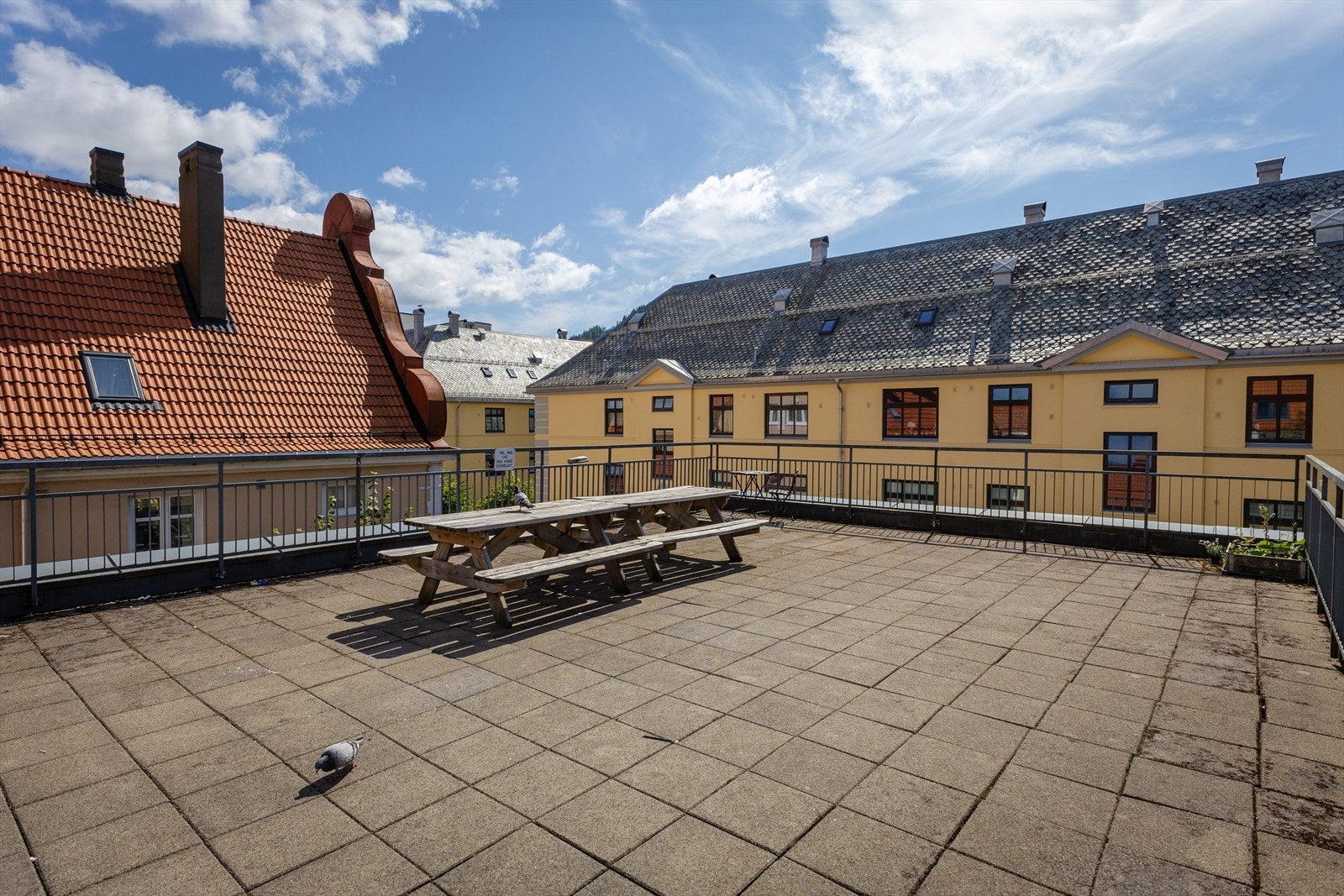 Felles takterrasse Galleribilde
