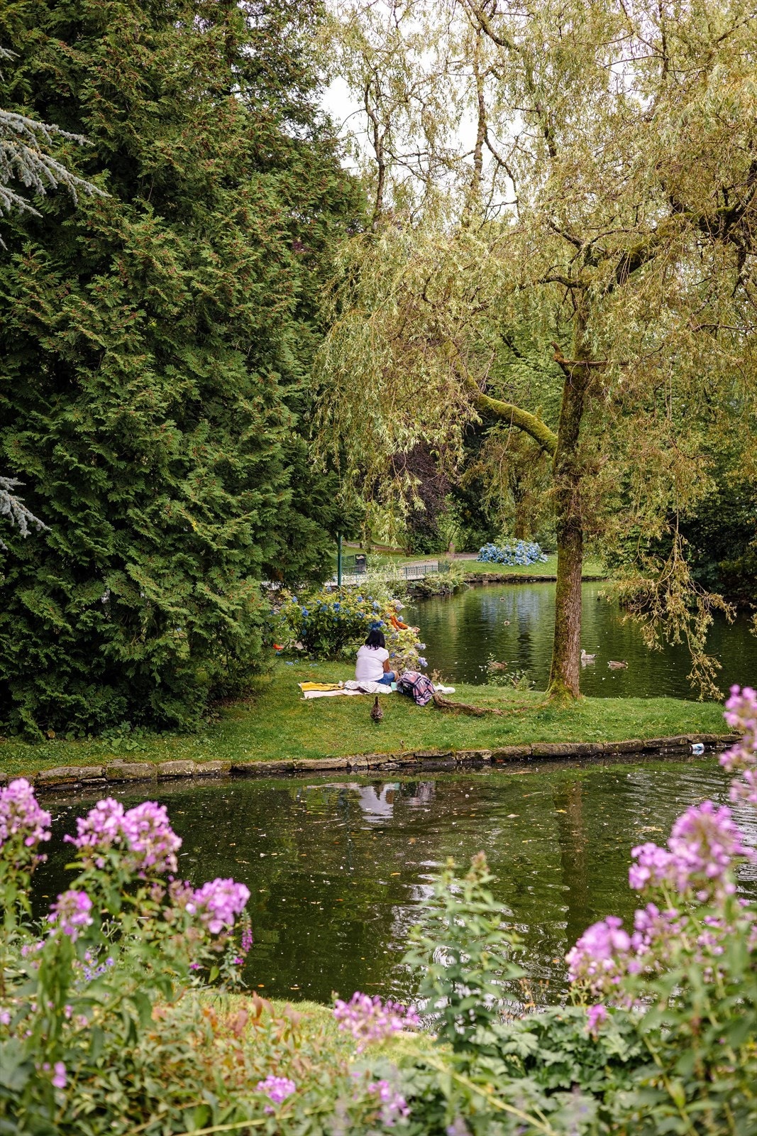 Nærområde Galleribilde
