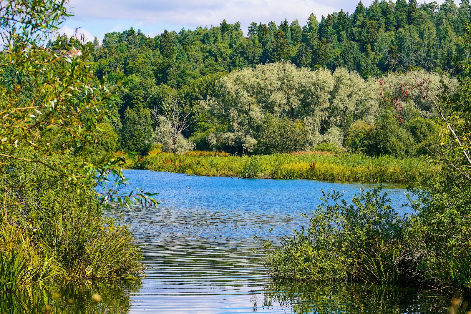 Flott tur- og rekreasjonsområde rundt Østensjøvannet. Galleribilde
