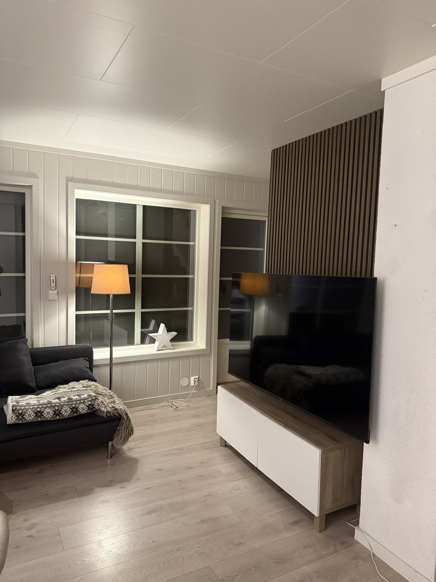 stue med TV Galleribilde