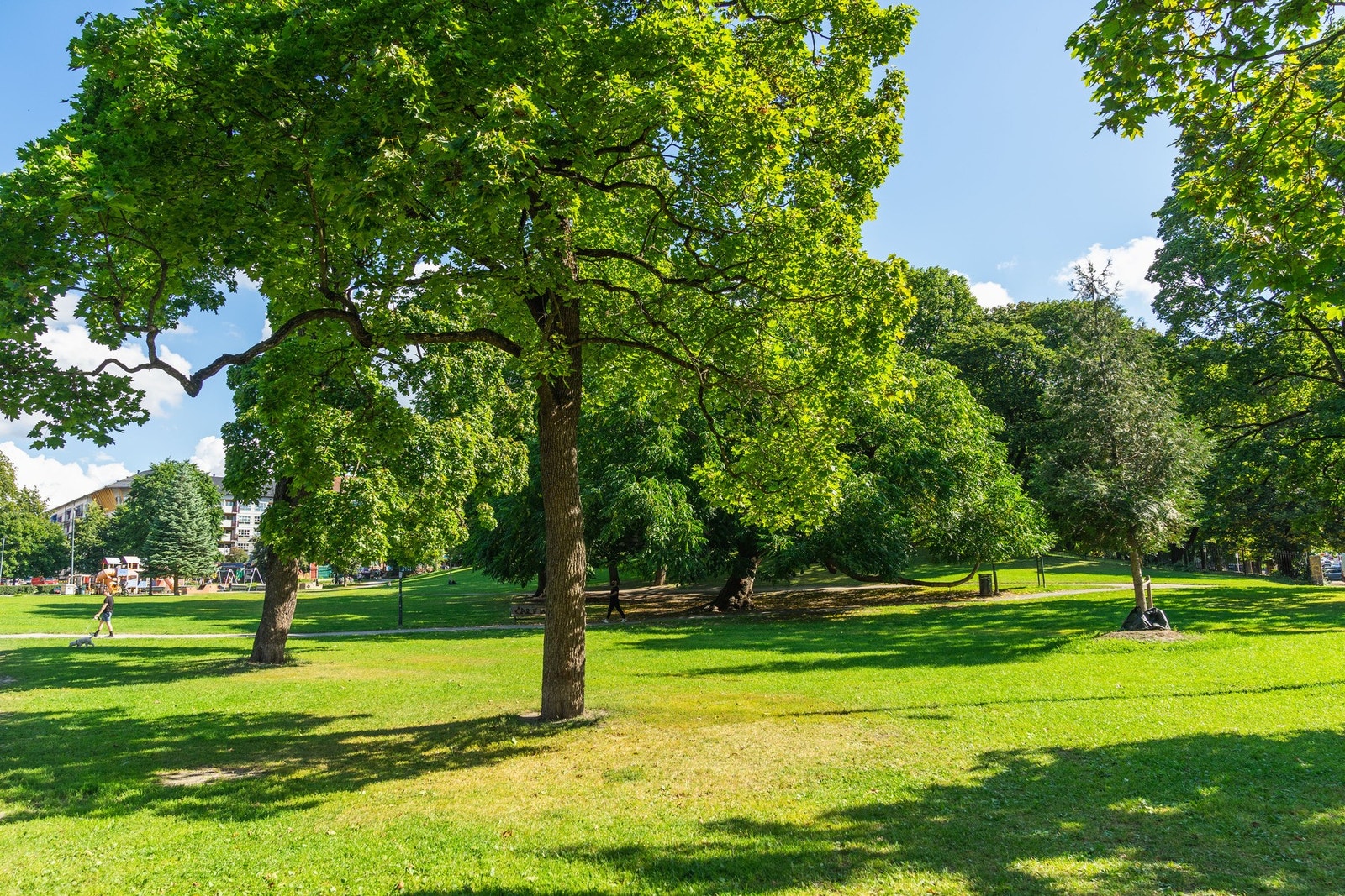 Sofienbergparken. Galleribilde