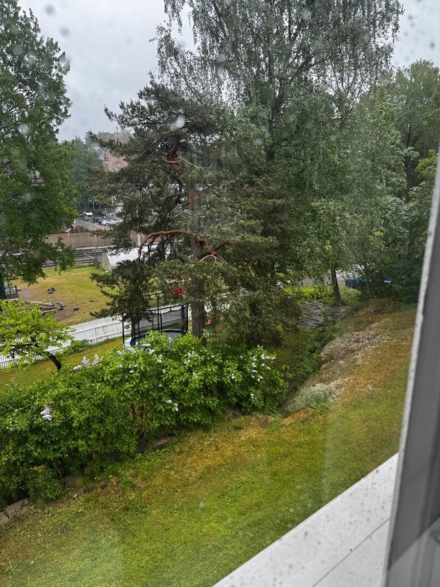 Naturtomt Galleribilde