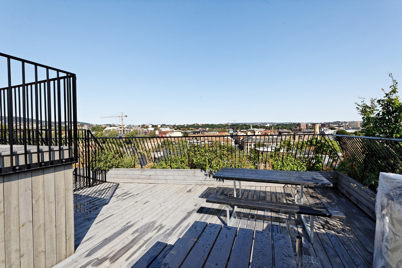 Sommerbilde fra takterrassen Galleribilde